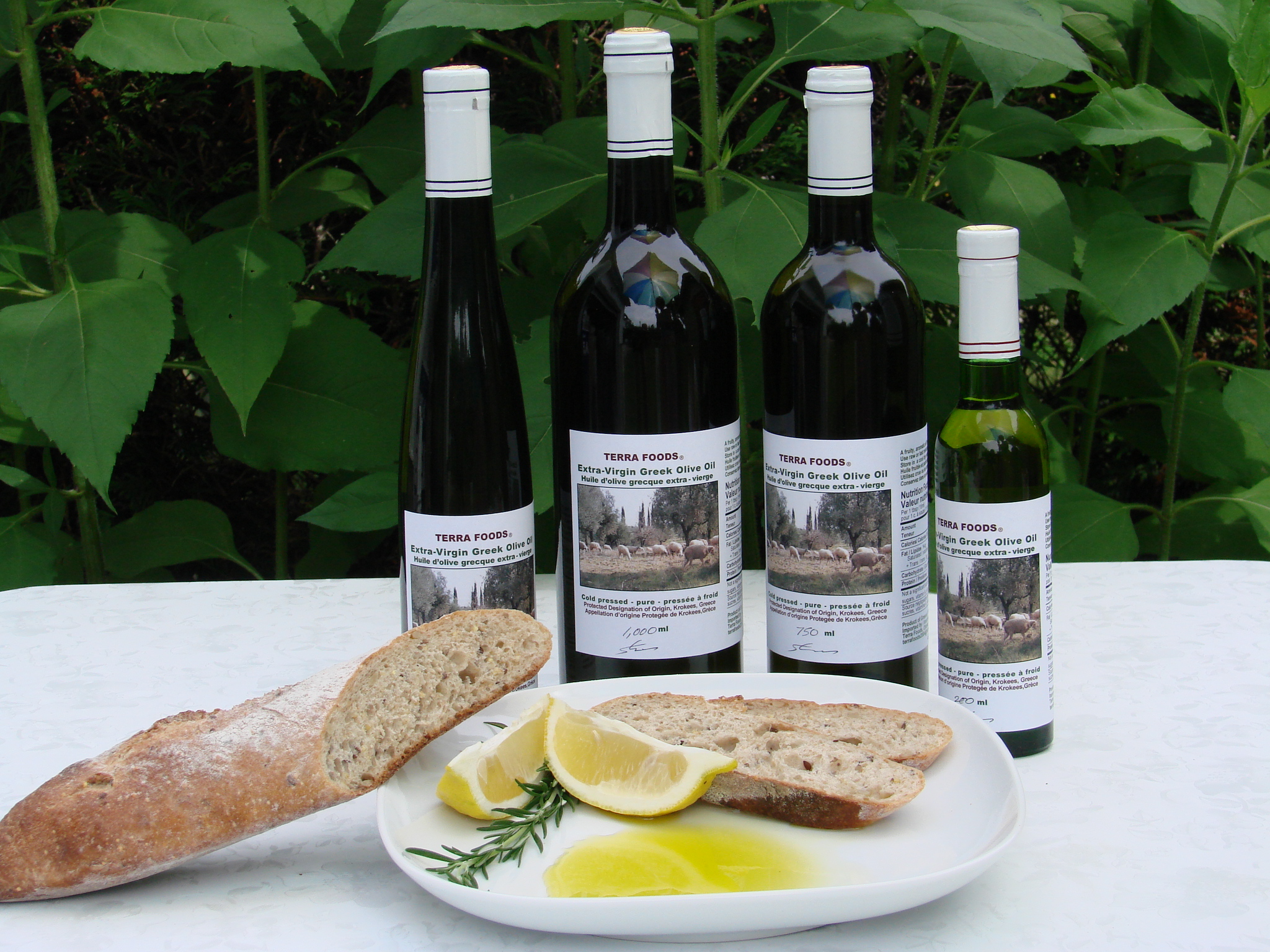 Terra Foods Greek EVOO